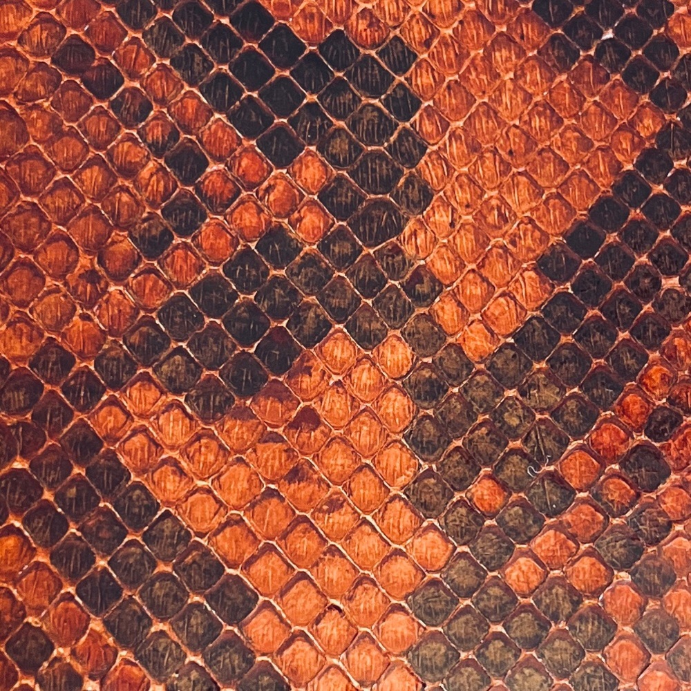 Genuine Snakeskin Python Men’s Leather Bifold Wal… - image 2